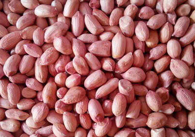 Peanuts